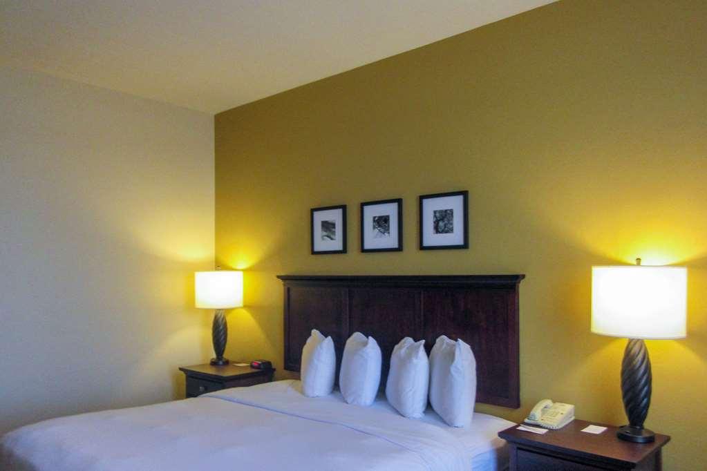Comfort Inn & Suites Dover Værelse billede